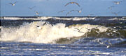 die ostsee auf Usedom