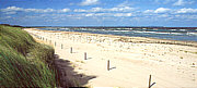 ckeritz auf Usedom Blick auf den Strand beei ckeritz